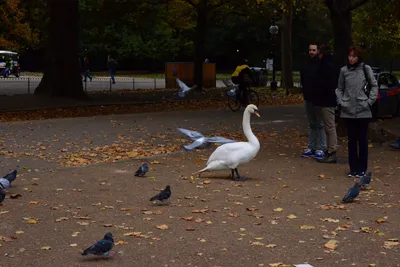 DSC_0634 (Large).JPG